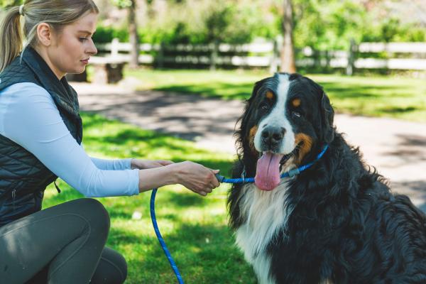 Ruffwear Just-a-Cinch Leash Blue Pool